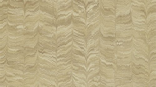 Jaipur Plain 311729